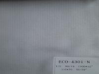 ECO-4301-N